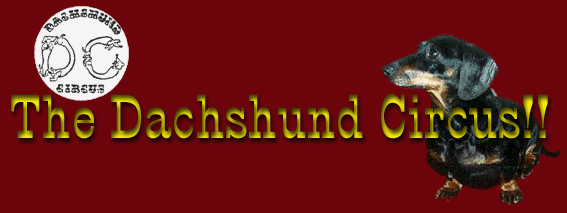The Dachshund Circus!!