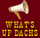 What's Up Dachs?