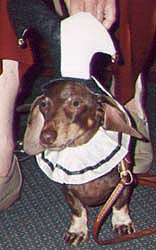 bow wow photo