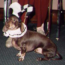 bow wow photo