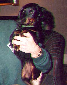 bow wow photo
