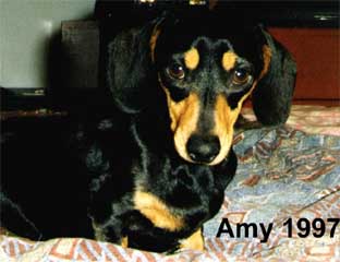 Amy