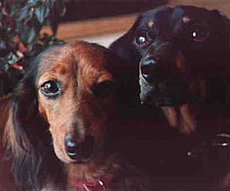 Oscar and Penny