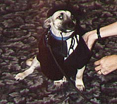 Max