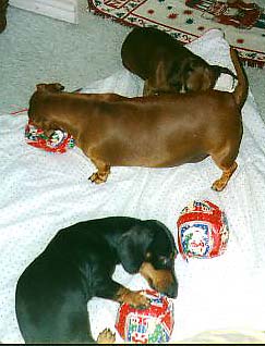 Christmas in 1997