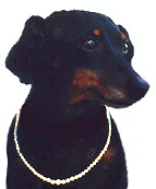 Queen Gracie 2