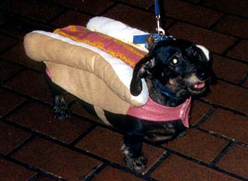 Hot Dog!