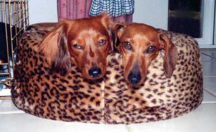 Tommy and Nina