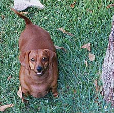 Spencer