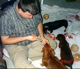 Spender, Ziggy and Auggie